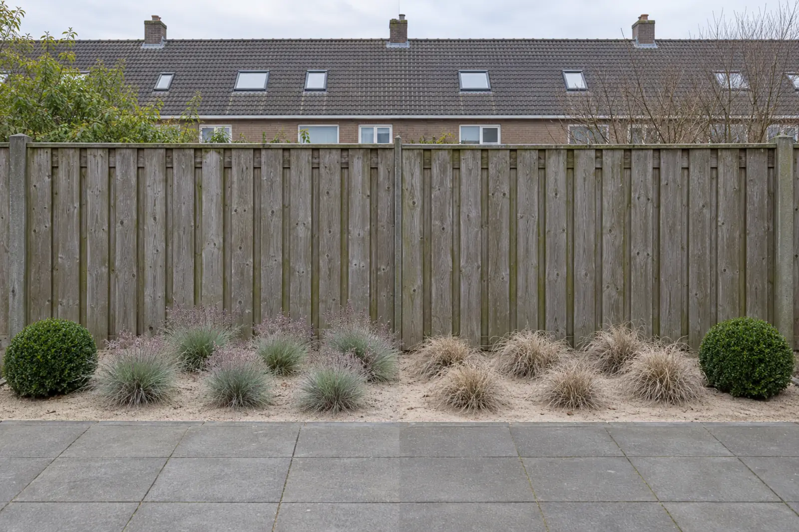 Een zandige border voor een schutting in twee helften: links in juni pollen buntgras met paarsgrijze pluimen, rechts in januari dorre, strokleurige pollen, met een buxusbol aan elk uiteinde