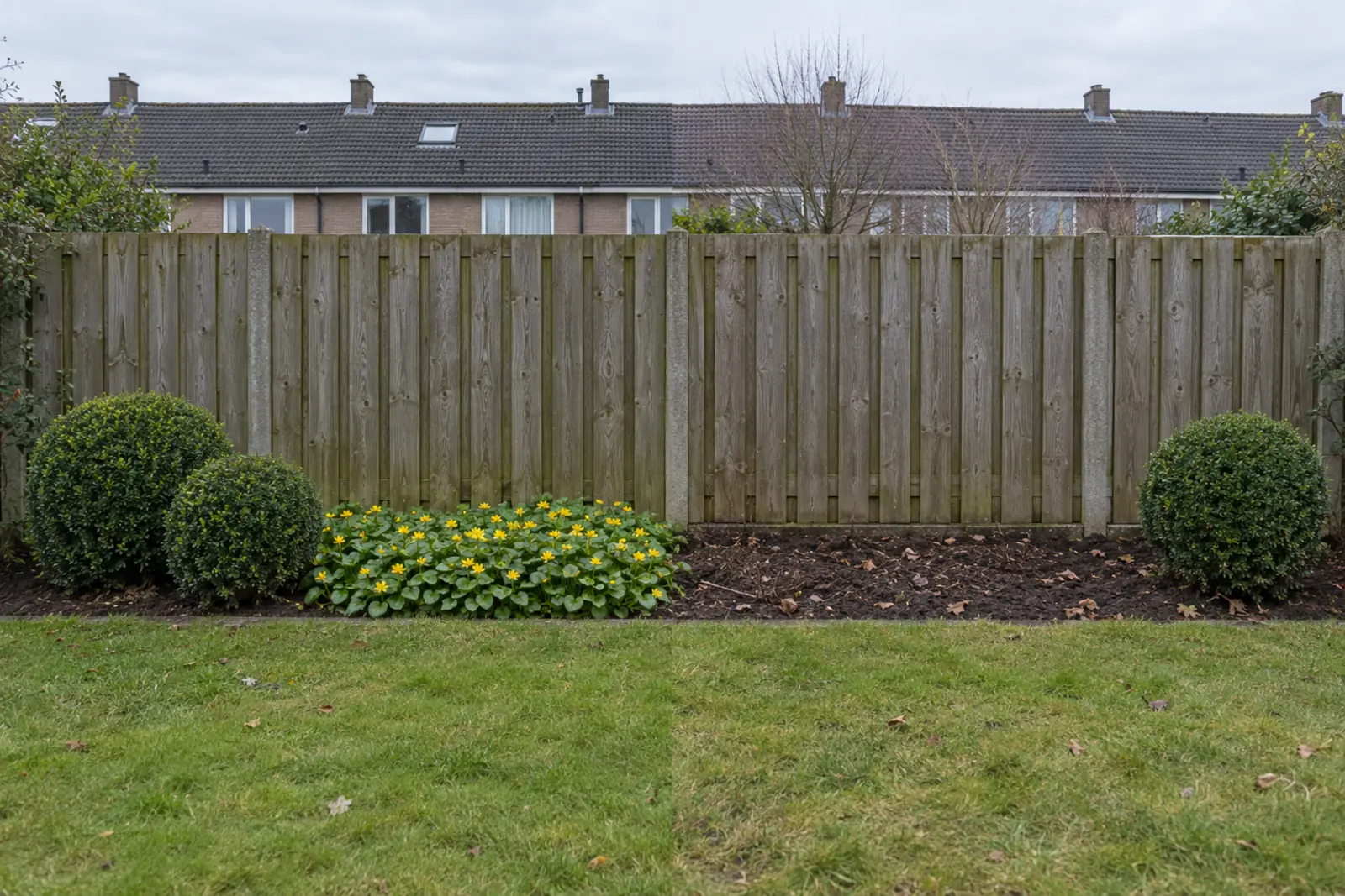 Een border voor een houten schutting in twee helften: links in maart een lage plek speenkruid met gele sterbloemen naast twee buxusbollen, rechts in januari kale grond met bruin blad en één buxusbol